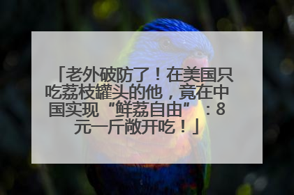 老外破防了！在美国只吃荔枝罐头的他，竟在中国实现“鲜荔自由”：8元一斤敞开吃！