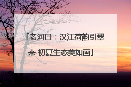 老河口：汉江荷韵引翠来 初夏生态美如画