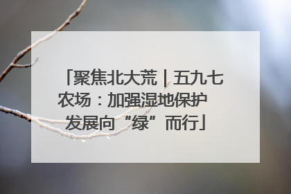 聚焦北大荒｜五九七农场：加强湿地保护 发展向“绿”而行