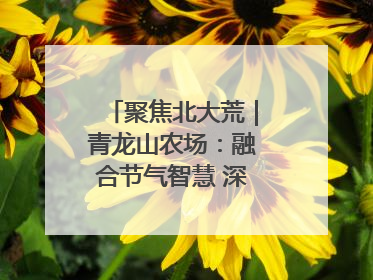 聚焦北大荒｜青龙山农场：融合节气智慧 深耕安全沃土