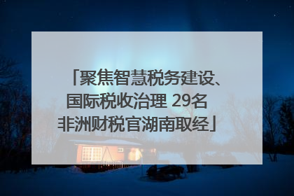 聚焦智慧税务建设、国际税收治理 29名非洲财税官湖南取经