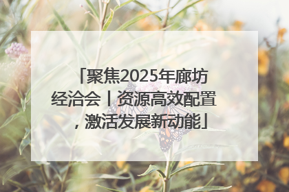 聚焦2025年廊坊经洽会丨资源高效配置，激活发展新动能