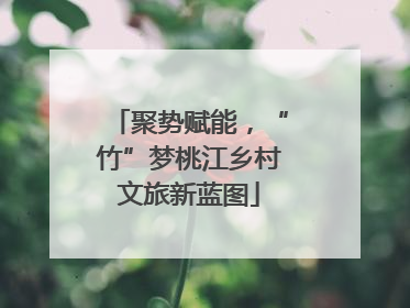 聚势赋能，“竹”梦桃江乡村文旅新蓝图