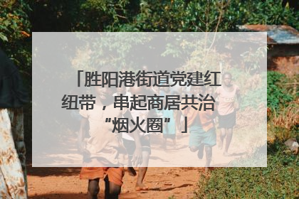 胜阳港街道党建红纽带，串起商居共治 “烟火圈”