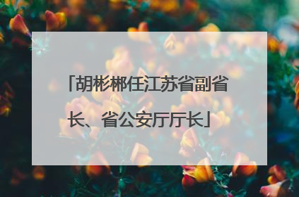胡彬郴任江苏省副省长、省公安厅厅长
