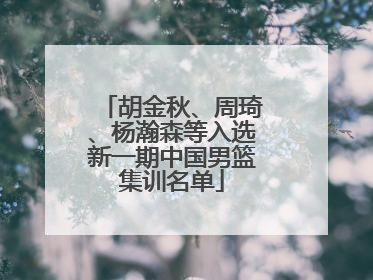 胡金秋、周琦、杨瀚森等入选新一期中国男篮集训名单