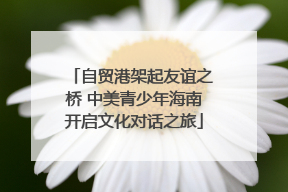 自贸港架起友谊之桥 中美青少年海南开启文化对话之旅