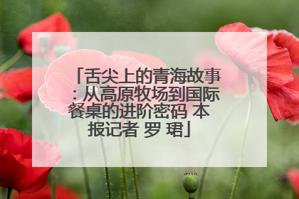 舌尖上的青海故事：从高原牧场到国际餐桌的进阶密码 本报记者 罗 珺