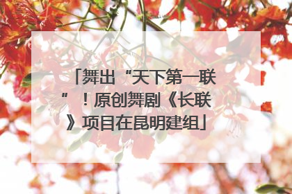 舞出“天下第一联”！原创舞剧《长联》项目在昆明建组