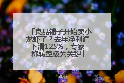 良品铺子开始卖小龙虾了？去年净利润下滑125%，专家称转型极为关键