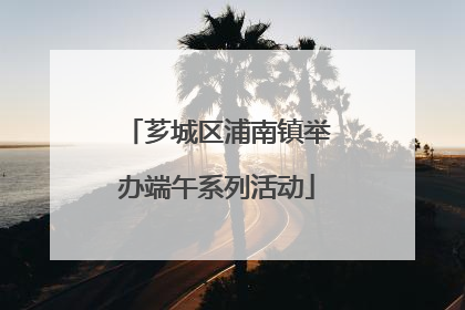 芗城区浦南镇举办端午系列活动