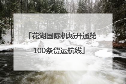 花湖国际机场开通第100条货运航线