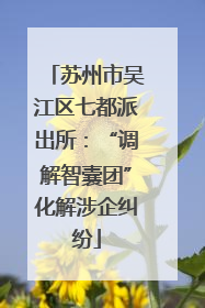 苏州市吴江区七都派出所：“调解智囊团”化解涉企纠纷