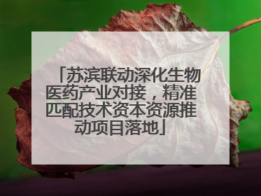 苏滨联动深化生物医药产业对接，精准匹配技术资本资源推动项目落地