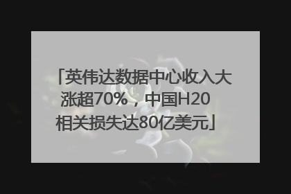 英伟达数据中心收入大涨超70%，中国H20相关损失达80亿美元