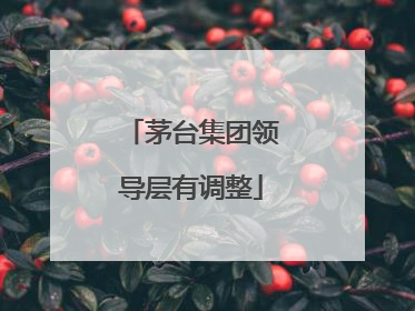 茅台集团领导层有调整