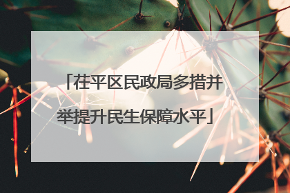 茌平区民政局多措并举提升民生保障水平