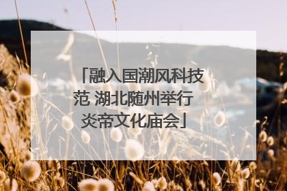 融入国潮风科技范 湖北随州举行炎帝文化庙会