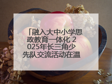 融入大中小学思政教育一体化 2025年长三角少先队交流活动在温岭举办