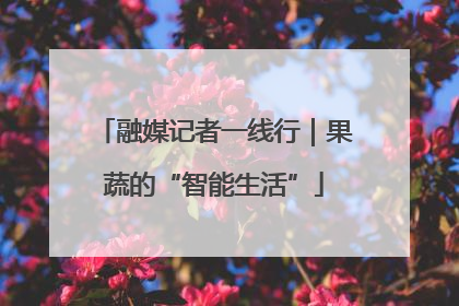 融媒记者一线行｜果蔬的“智能生活”