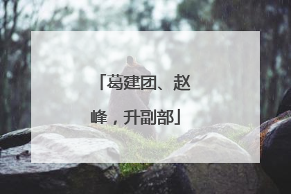 葛建团、赵峰，升副部