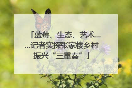 蓝莓、生态、艺术……记者实探张家楼乡村振兴“三重奏”