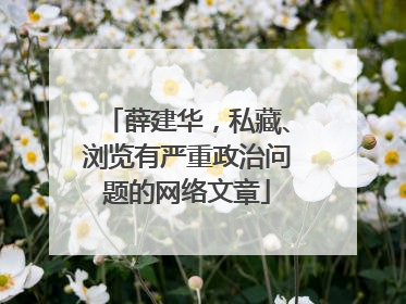 薛建华，私藏、浏览有严重政治问题的网络文章