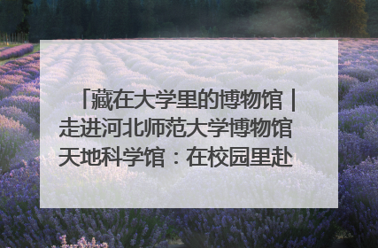 藏在大学里的博物馆｜走进河北师范大学博物馆天地科学馆：在校园里赴一场“宇宙之约”