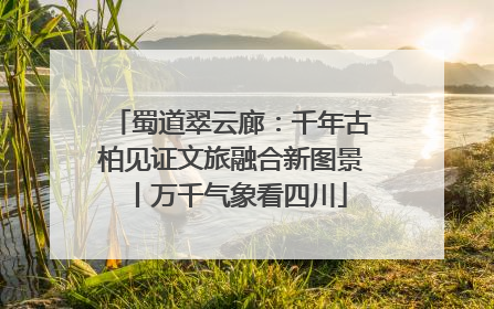 蜀道翠云廊：千年古柏见证文旅融合新图景丨万千气象看四川