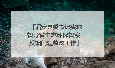 诏安县委书记实地督导省生态环保督察反馈问题整改工作