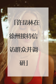 许昆林在徐州接待信访群众并调研