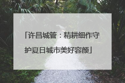 许昌城管：精耕细作守护夏日城市美好容颜