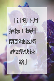 计划下月招标！扬州南部地区将建2条快速路