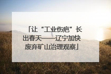 让“工业伤疤”长出春天——辽宁加快废弃矿山治理观察