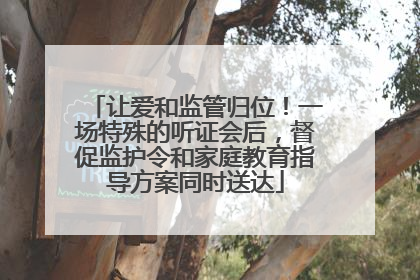 让爱和监管归位！一场特殊的听证会后，督促监护令和家庭教育指导方案同时送达