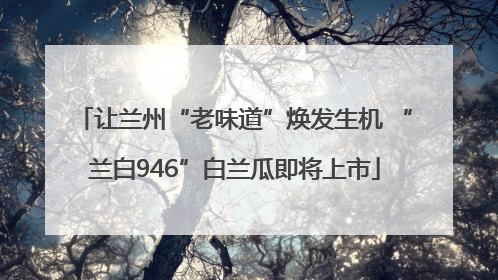 让兰州“老味道”焕发生机 “兰白946”白兰瓜即将上市
