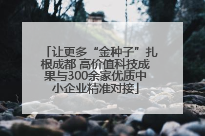 让更多“金种子”扎根成都 高价值科技成果与300余家优质中小企业精准对接