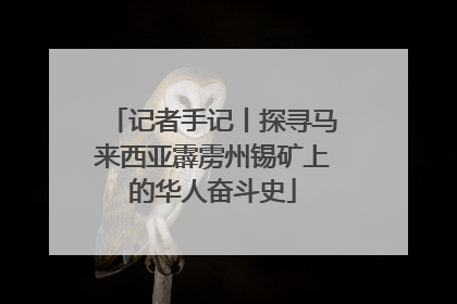 记者手记丨探寻马来西亚霹雳州锡矿上的华人奋斗史
