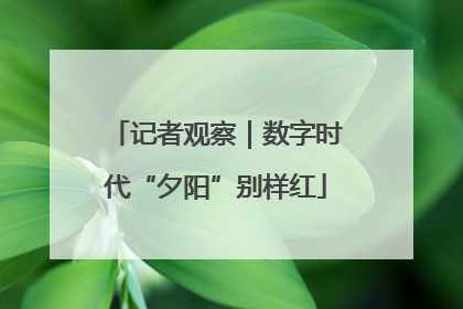 记者观察｜数字时代“夕阳”别样红