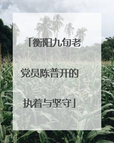 衡阳九旬老党员陈普开的执着与坚守