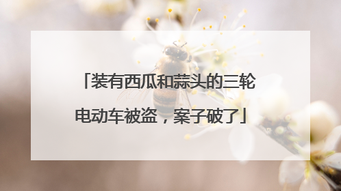 装有西瓜和蒜头的三轮电动车被盗，案子破了