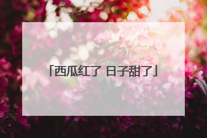 西瓜红了 日子甜了