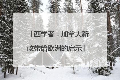 西学者：加拿大新政带给欧洲的启示
