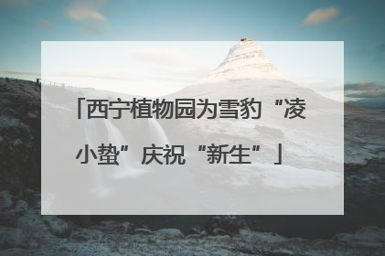 西宁植物园为雪豹“凌小蛰”庆祝“新生”