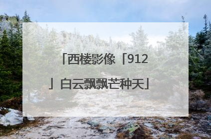 西楼影像「912」白云飘飘芒种天
