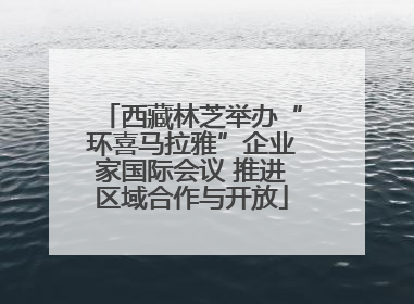 西藏林芝举办“环喜马拉雅”企业家国际会议 推进区域合作与开放