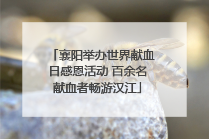 襄阳举办世界献血日感恩活动 百余名献血者畅游汉江