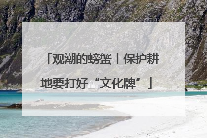 观潮的螃蟹丨保护耕地要打好“文化牌”