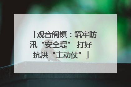 观音阁镇：筑牢防汛“安全堤” 打好抗洪“主动仗”