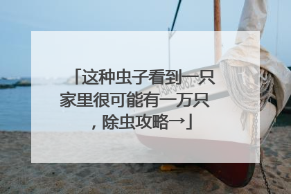 这种虫子看到一只家里很可能有一万只，除虫攻略→